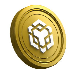 Kryptowährungs-Coin Binance BNB auf der Tutorial-Seite für Einsteiger im Trading